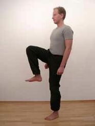 pas mare pentru a crește potența