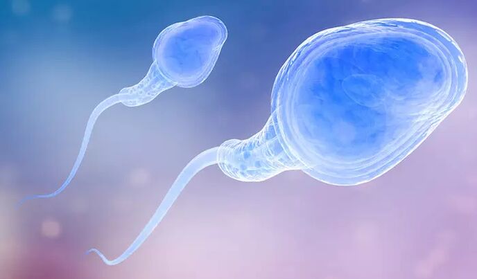 Spermatozoizii pot fi prezenți în preejaculatul unui bărbat